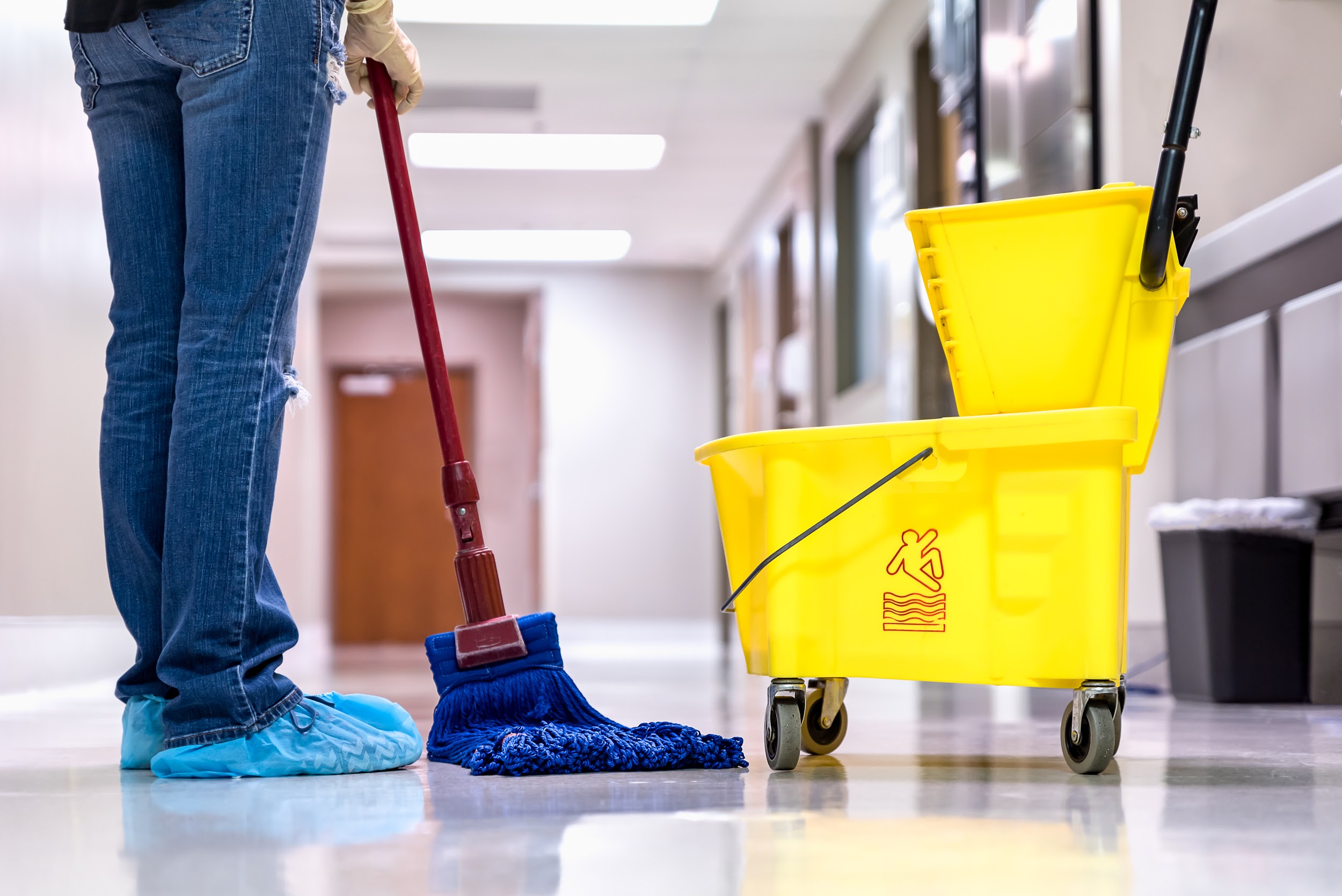The Difference Between Dry and Wet Mops